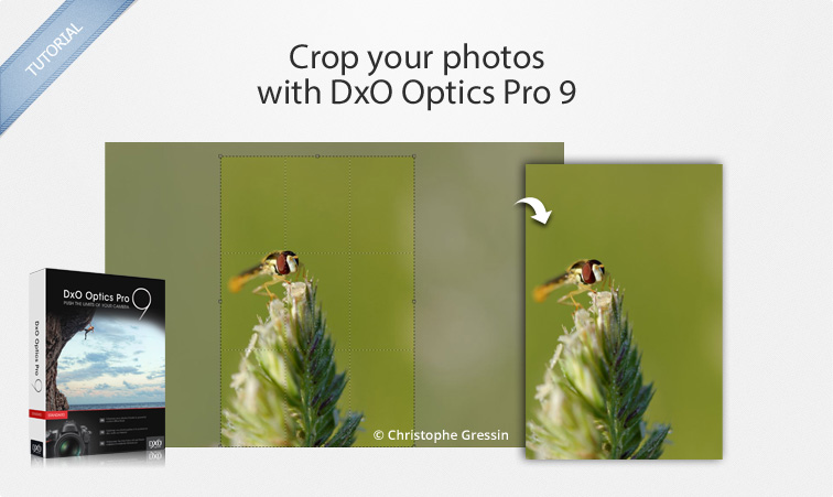 dxo viewpoint 3 tutorial