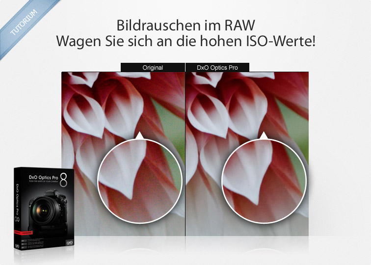dxo viewpoint plugin