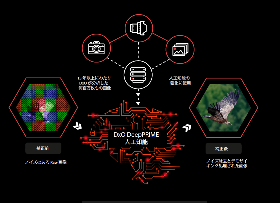 DxO-DeepPRIME-schema-JA DeepPRIME-AI